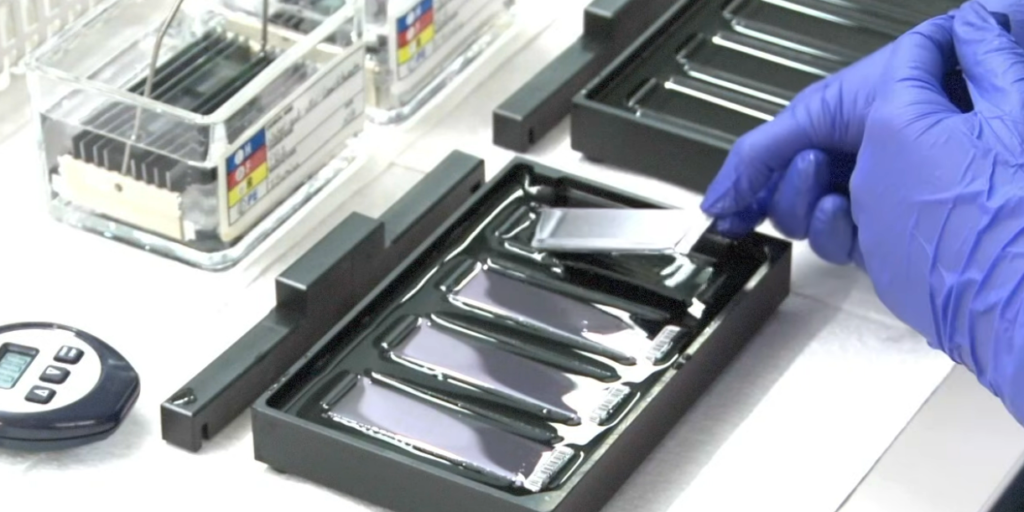 23andMe Lawsuit: Your DNA Was Stolen, the Company Went Bankrupt, and Here's What Happens to Your Genetic Data Now 23andMe Lawsuit: Your DNA Was Stolen, the Company Went Bankrupt, and Here's What Happens to Your Genetic Data Now