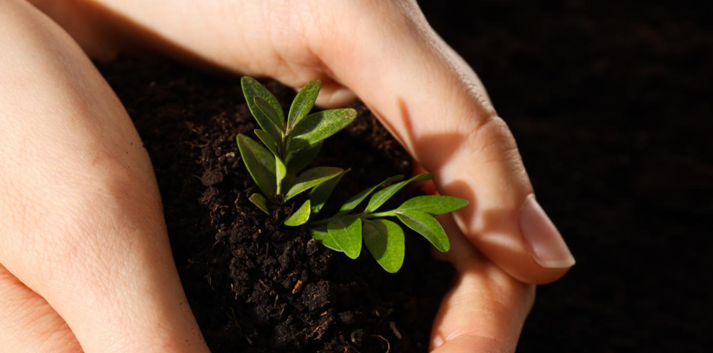 Earth Day at 56: The Holiday the Planet Gave Us — And What We've Done With It