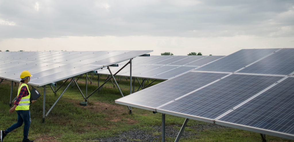 Waaree Renewables Share Price Jumped 11% on a Single Earnings Day — Then the Margin Question Arrived