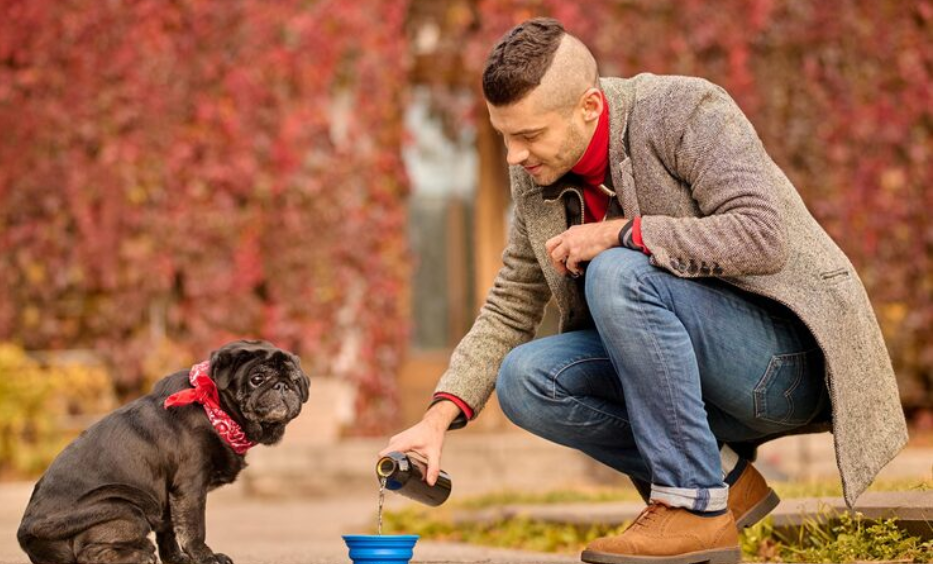 Blue Buffalo Dog Food Lawsuit