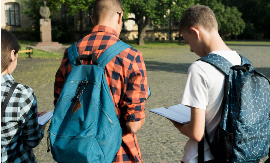 The Great School Choice Divide