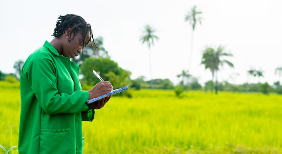 Designing the Future of Africa