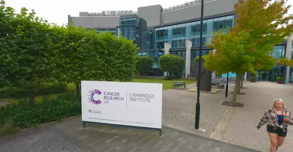 Why Cambridge Researchers Believe Britain's Schools Are Actively Punishing Creative Children