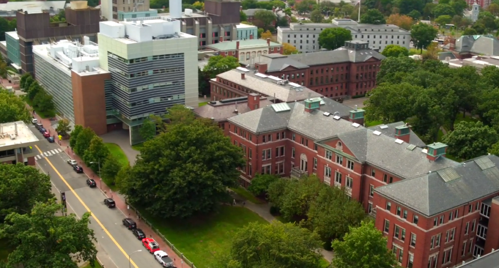 Harvard’s Architectural Shift: Designing Spaces That Foster Spontaneous Creative Collaboration