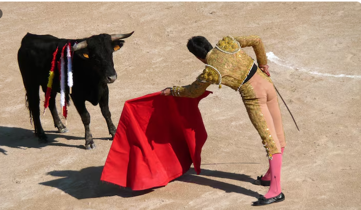 Sisters Rodeo Bull Lawsuit